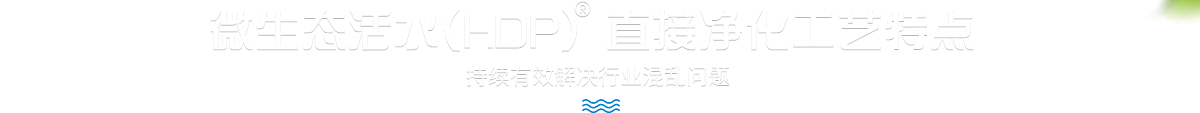 微生态活水工艺特点