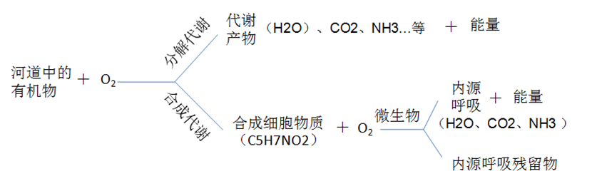 7_副本