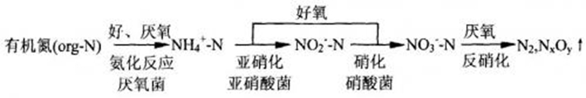 8_副本