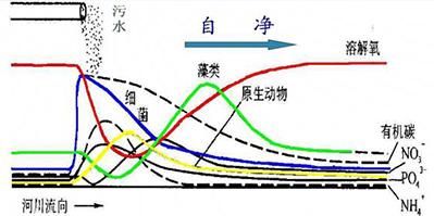 黑臭水体中微生物的来源有哪些？