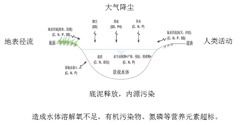 微生态活水（HDP）直接净化工艺