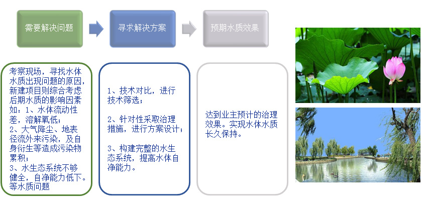 微生态活水（HDP）直接净化工艺