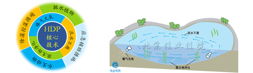 微生态活水（HDP）直接净化工艺