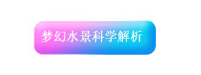 梦幻水景科学解析
