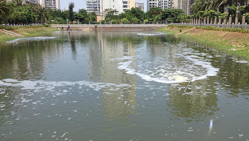 海口黑臭水体中试治理大比武 佳业佳境奋勇夺冠！