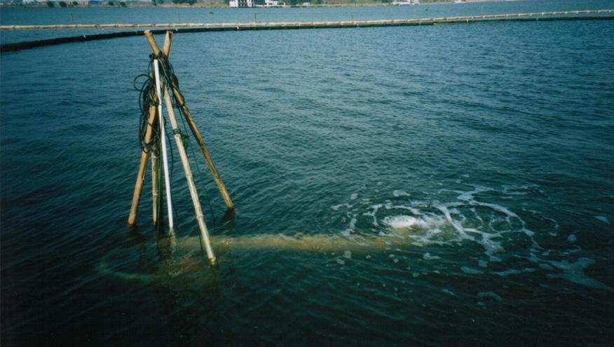 太湖水污染控制与水体修复技术-佳业佳境工程案例