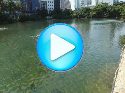 海口鸭尾溪