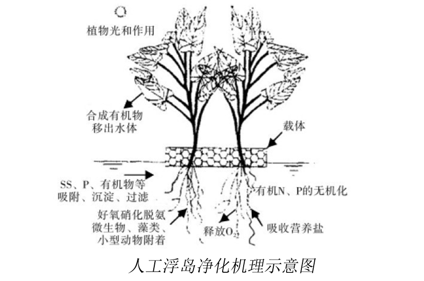 1_副本