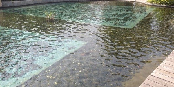 微生物生长的家—水处理生物膜载体