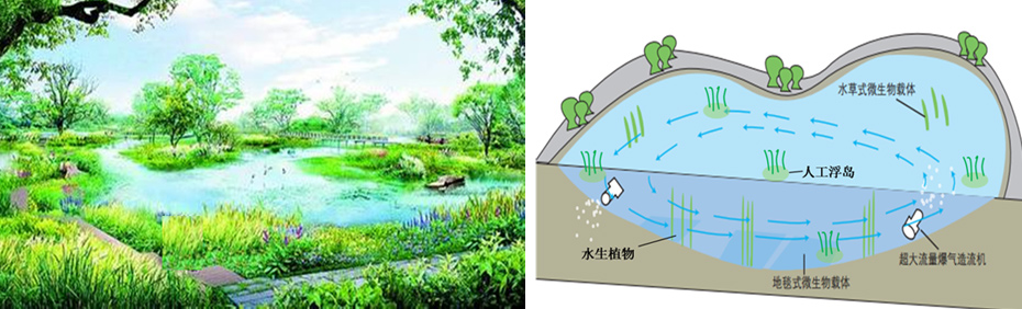 微生态活水（HDP）接触氧化生态塘