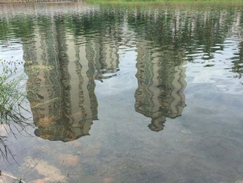 河道与湖泊黑臭水体黑臭底泥原位修复