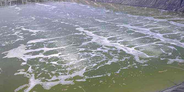 青海农村生活污水处理设施水污染物排放标准