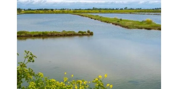 山西省农村生活污水处理设施水污染物排放标准