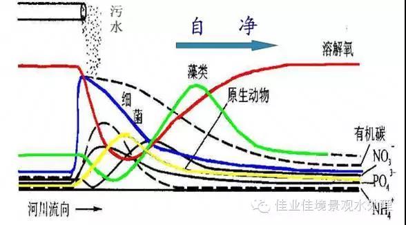 微信图片_20191024152459