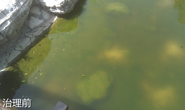北京观湖国际小区使用生态控藻素前