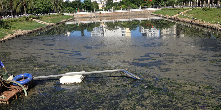 海口黑臭水体中试治理大比武-佳业佳境工程案例