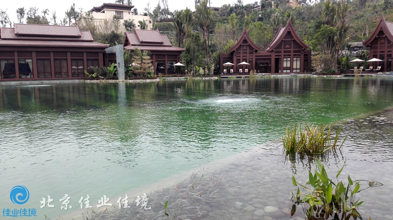 万达西双版纳国际度假区酒店群人工湖水处理-佳业佳境工程案例