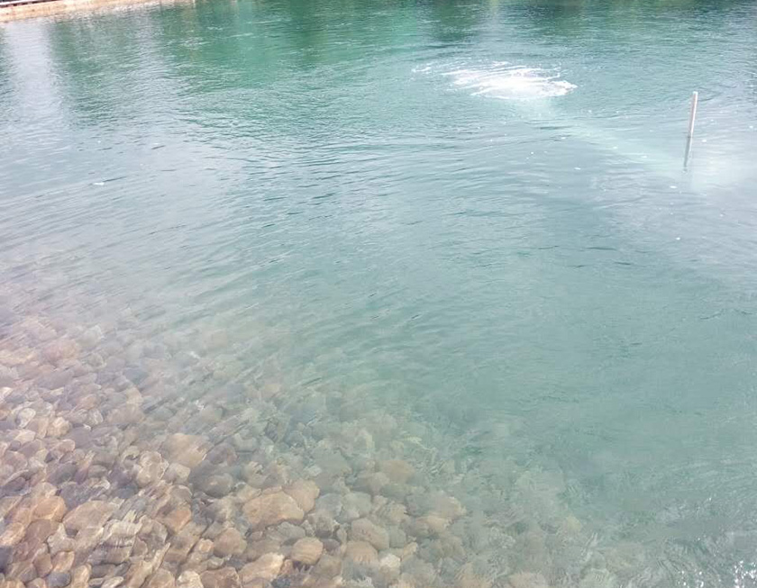 世外桃源小区景观湖水质提升工程-佳业佳境工程案例